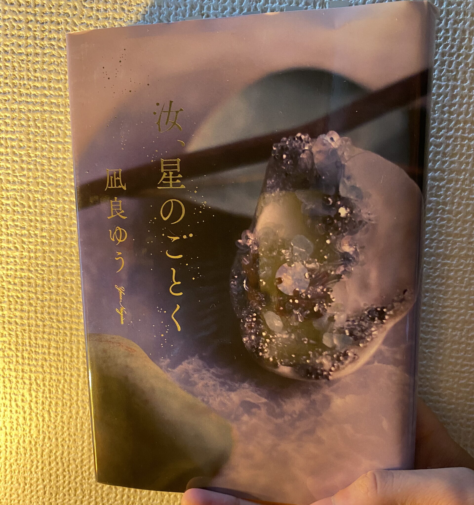 汝、星のごとくのサムネイル